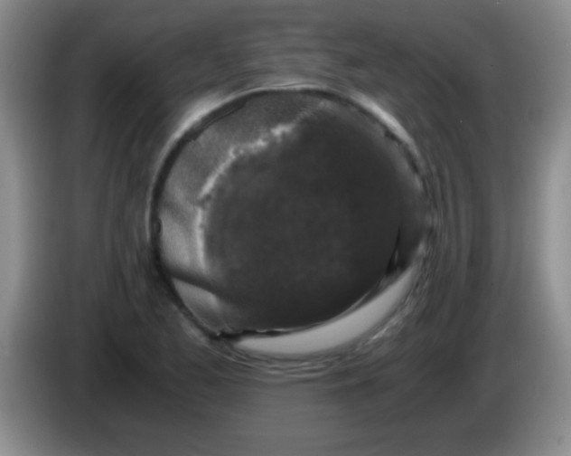 X0000084011173200703091921