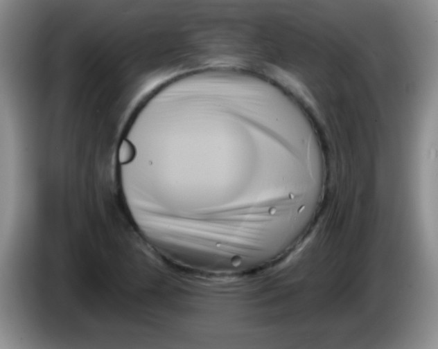 X0000084011174200703091920