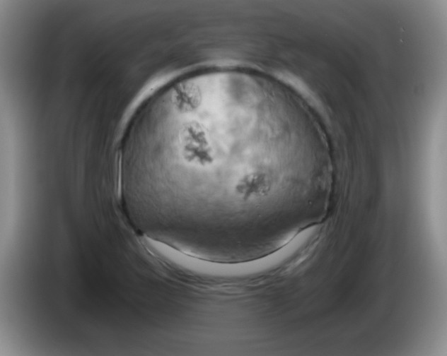 X0000084011175200703091920