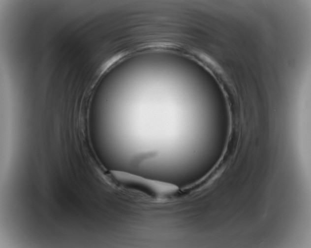 X0000084011177200703091920