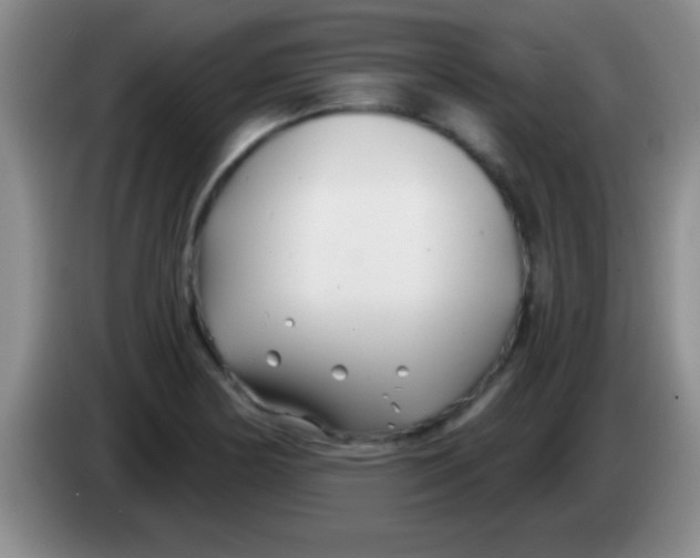 X0000084011178200703091920