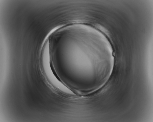 X0000084011179200703091920