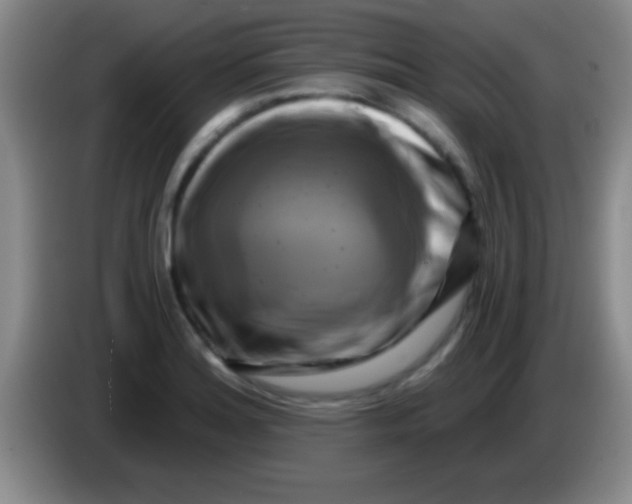 X0000084011180200703091920