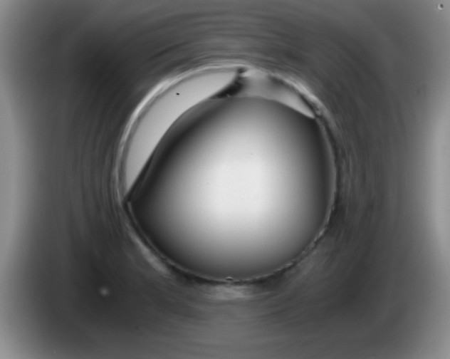 X0000084011181200703091920