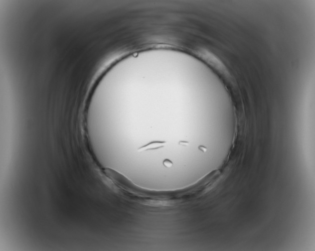 X0000084011182200703091920