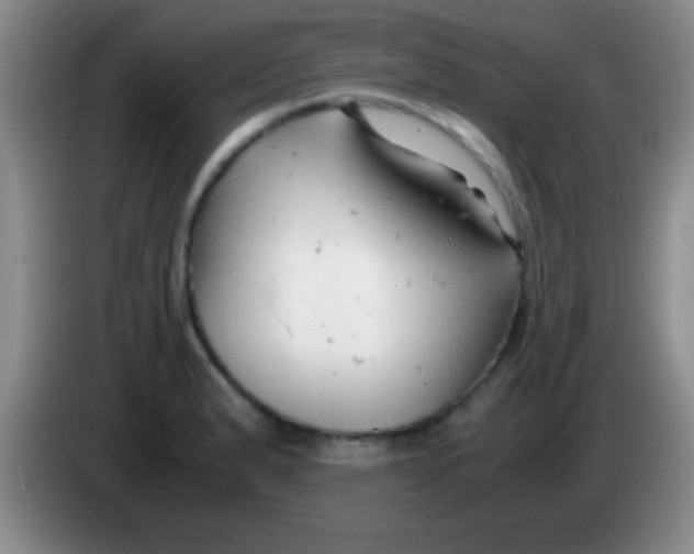 X0000084011183200703091920