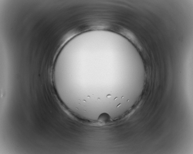 X0000084011186200703091920