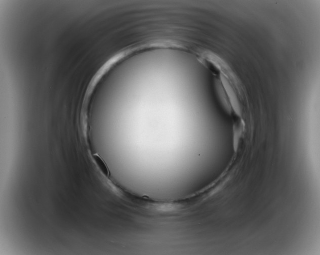 X0000084011188200703091920