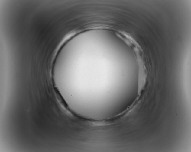 X0000084011189200703091920