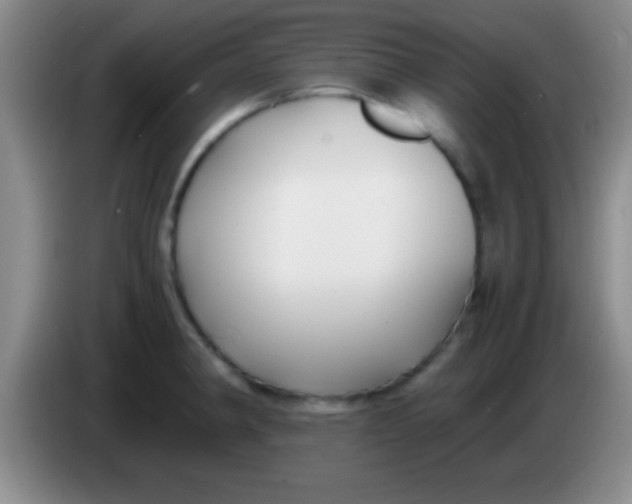 X0000084011190200703091920