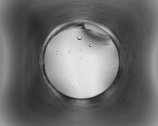 X0000084011191200703091920