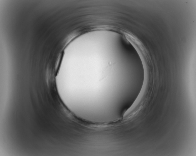 X0000084011193200703091920