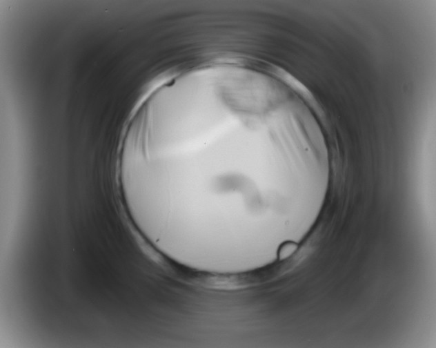 X0000084011194200703091920