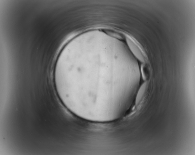 X0000084011197200703091920