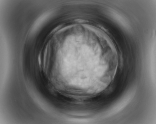 X0000084011198200703091920