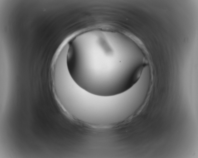 X0000084011200200703091920