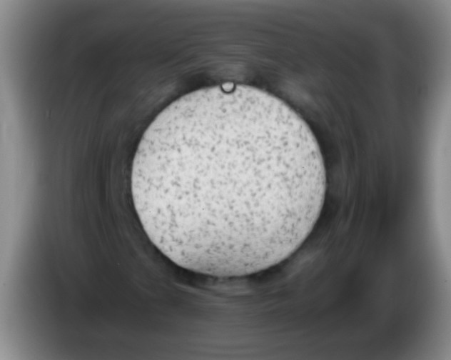 X0000084011201200703091919