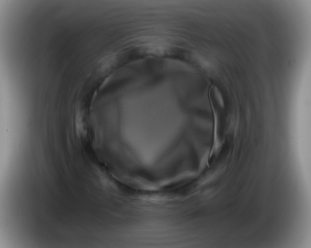 X0000084011202200703091919