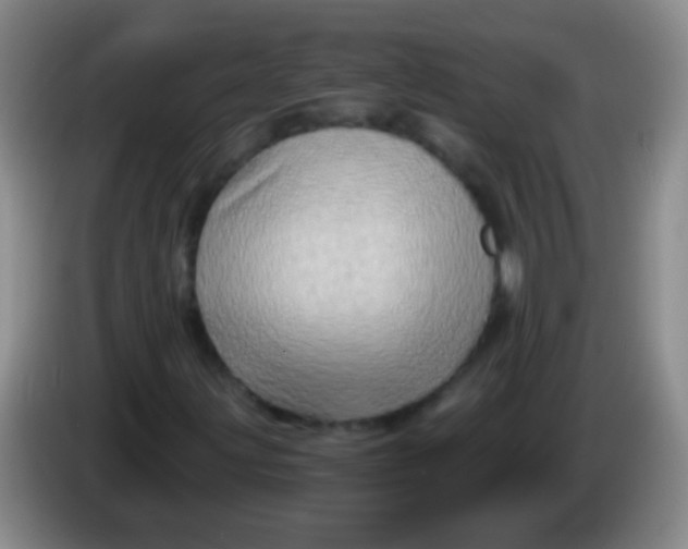 X0000084011203200703091919