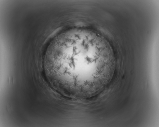 X0000084011205200703091919