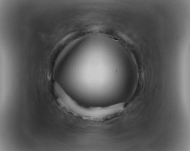 X0000084011206200703091919