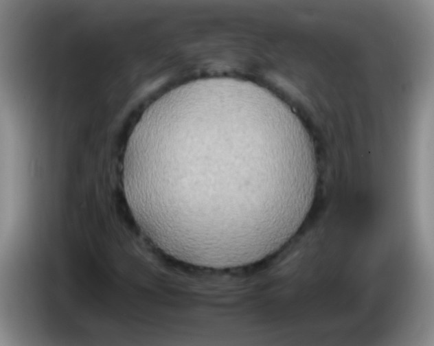 X0000084011207200703091919