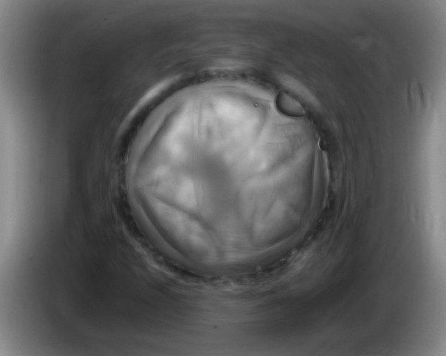 X0000084011208200703091919