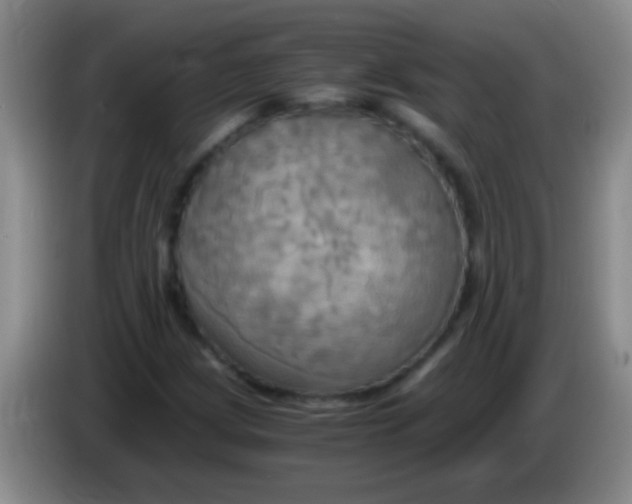 X0000084011209200703091920