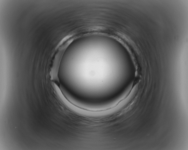 X0000084011210200703091920