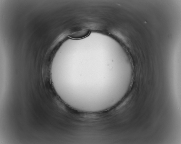 X0000084011211200703091920