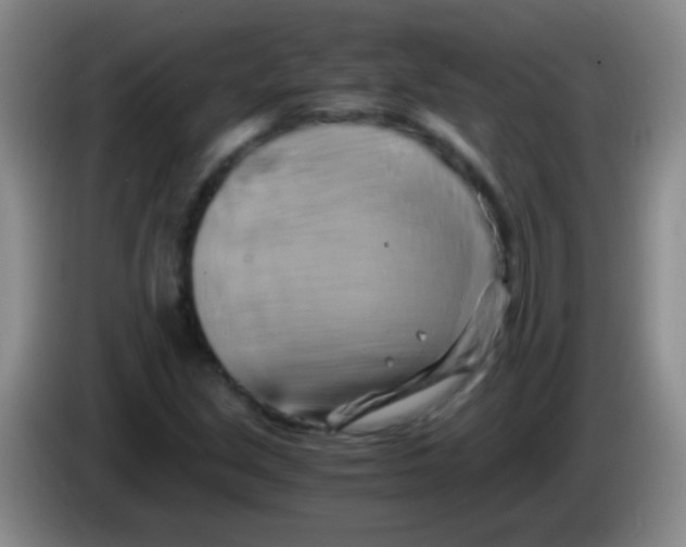 X0000084011213200703091920