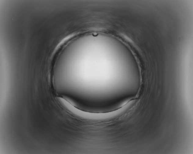 X0000084011214200703091920