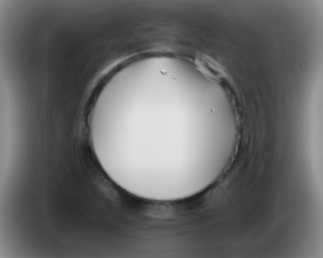 X0000084011215200703091920