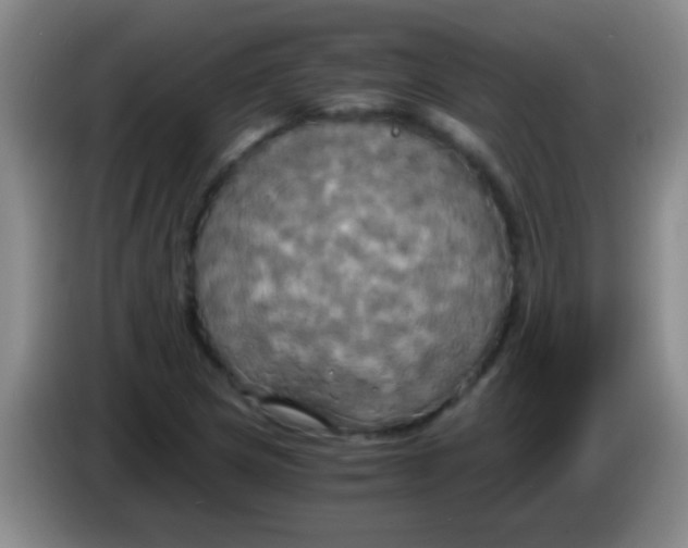 X0000084011217200703091920