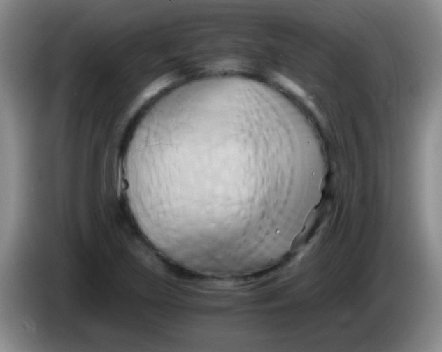 X0000084011219200703091920