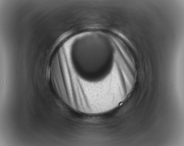 X0000084011221200703091920