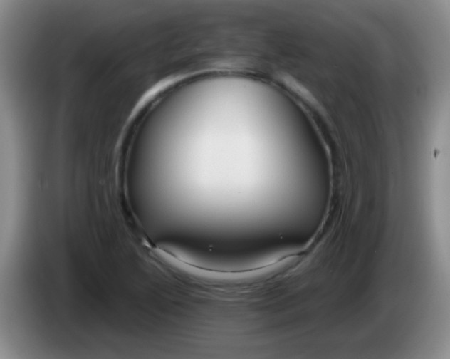 X0000084011222200703091920