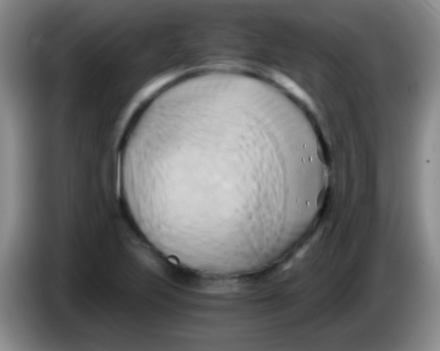 X0000084011223200703091920