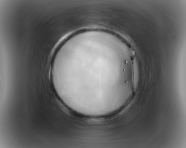 X0000084011224200703091920