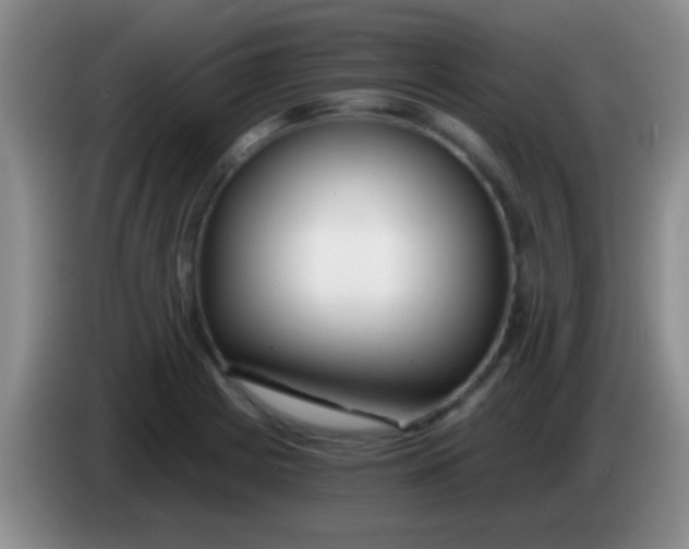 X0000084011225200703091920