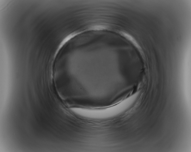 X0000084011226200703091920