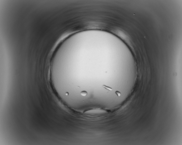 X0000084011227200703091920