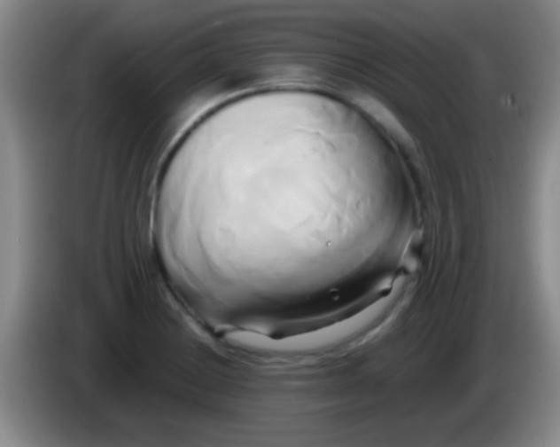 X0000084011228200703091920