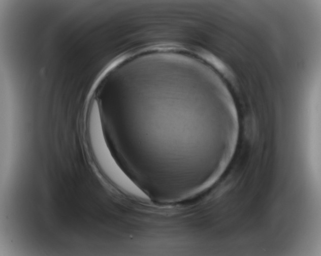 X0000084011229200703091920