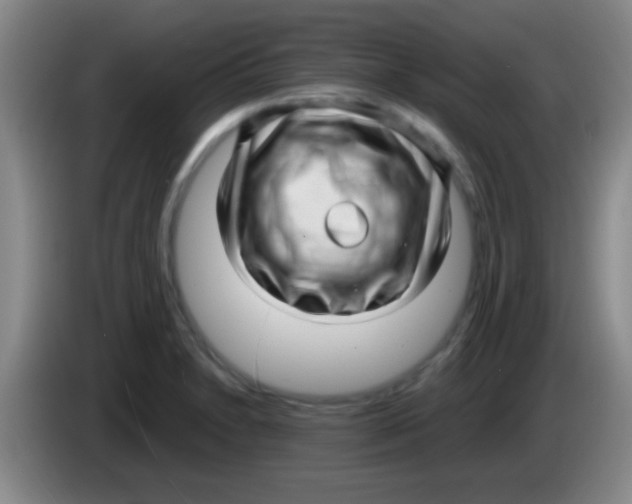 X0000084011230200703091920