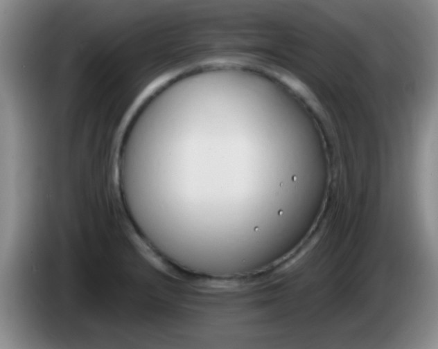 X0000084011232200703091920