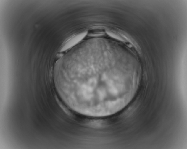 X0000084011233200703091920