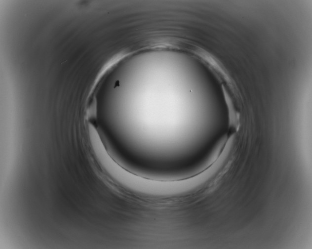 X0000084011234200703091920