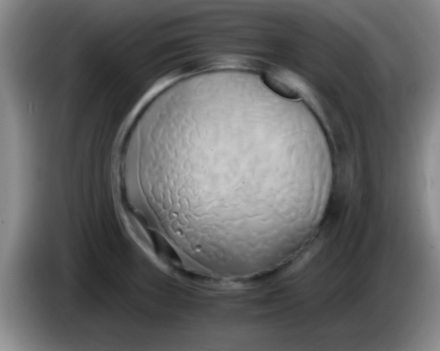 X0000084011235200703091920