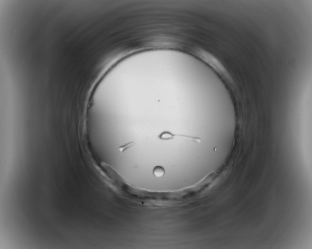 X0000084011236200703091920